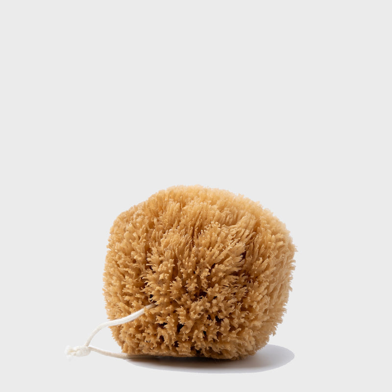 Public Goods Personal Care Exfoliating (Grass) Sea Sponge 4"